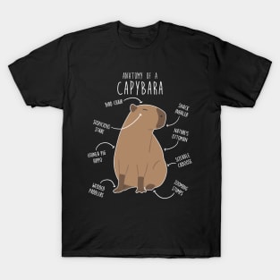 Capybara Anatomy T-Shirt